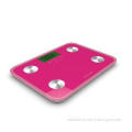 Electronic health analyser SCALE